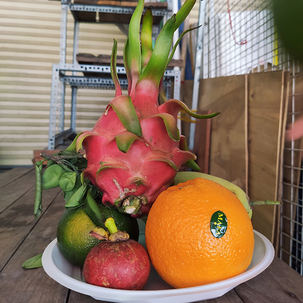 Mâm ngũ quả số 43